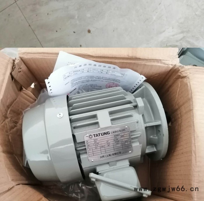 台湾大同电机 TATUNG大同异步电机 工厂直销图3
