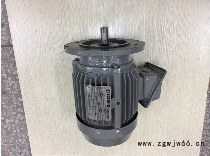 台湾大同电机 TATUNG大同异步电机 工厂直销图4