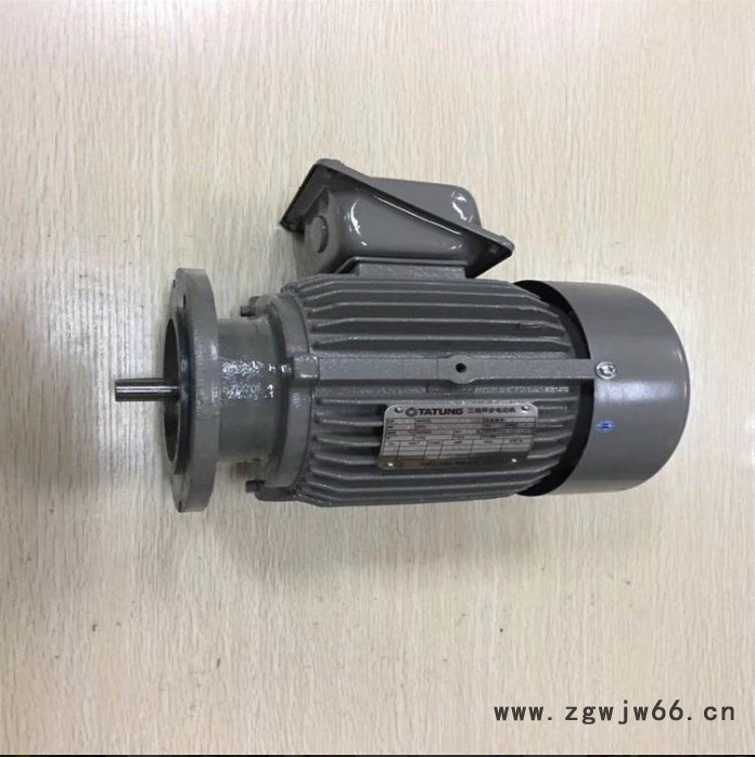 台湾大同电机 TATUNG大同异步电机 工厂直销图8