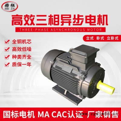 九派通YE3-180M 三相异步电机22KW2极超高效节能电机厂家直供变频调速三相异步电机 齿轮减速三相异步电机