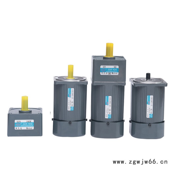 120W低转速齿轮调速电机单相异步电机图5