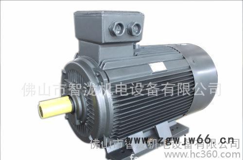 YE3高效节能三相异步电机图2