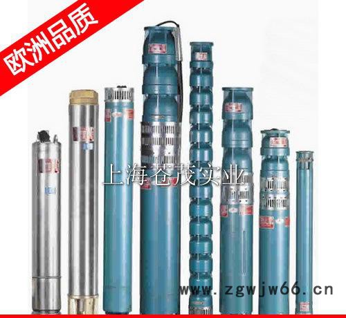 进口深井泵 深井泵电机 100QJ2-160/32 简单图3