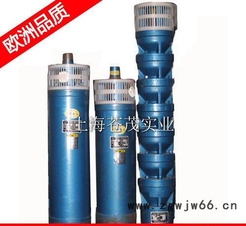 进口深井泵 深井泵电机 100QJ2-160/32 简单图2