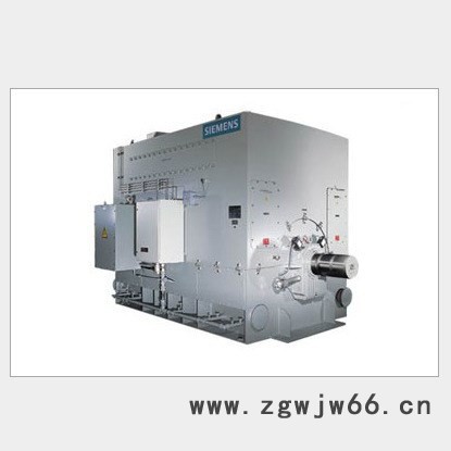 西门子高压电机1LA4500-4AN60-Z 西门子电机图3