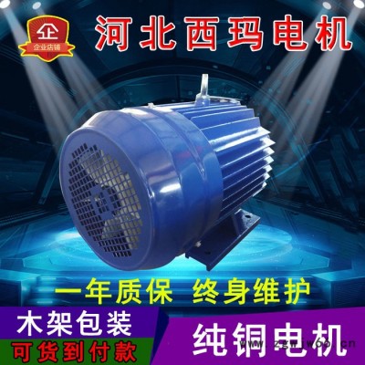 河北电机生产厂家高压电机厂家