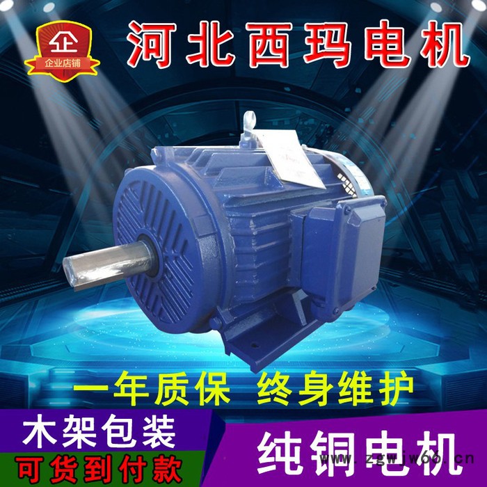 河北电机生产厂家高压电机厂家图2