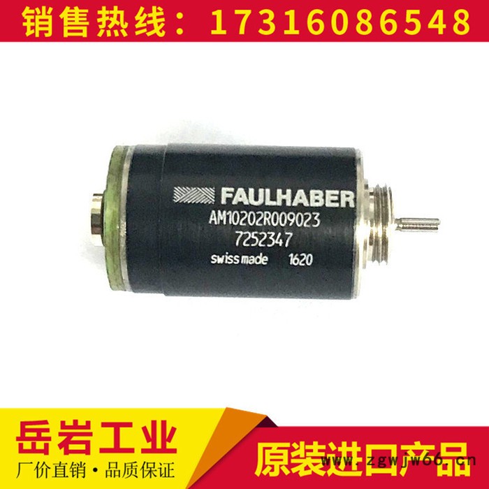 德国进口 2642W024CXR 美容仪微电机 电机图2