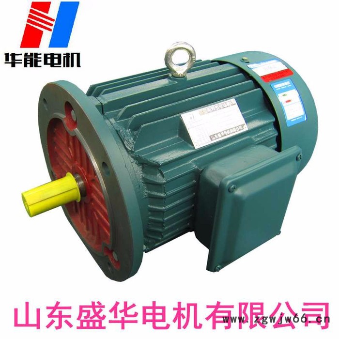 山东盛华电YE3高效节能三相异步电机图5