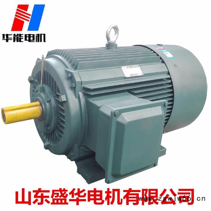 山东盛华电YE3高效节能三相异步电机图2