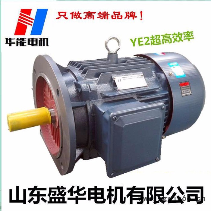 山东盛华电YE3高效节能三相异步电机图3