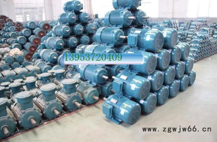 供应环宇机电三相异步电机 国标全铜图3