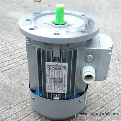 清华紫光电机/紫光三相异步电机质量保证