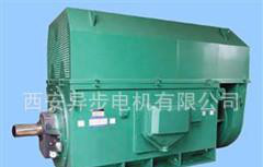 Y系列Y4001-2 220KW/10KV 西玛牌三相异步电机图2