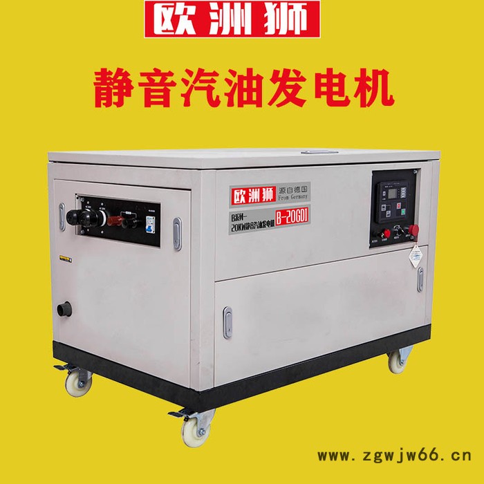 移动式20kw进口汽油发电机组图5