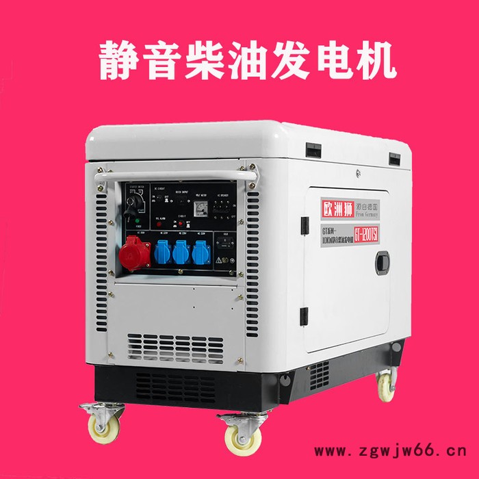 欧洲狮进口15kw柴油发电机组厂家图3