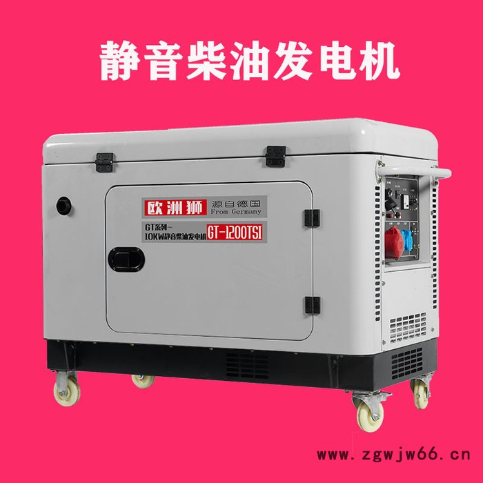 欧洲狮进口15kw柴油发电机组厂家图2