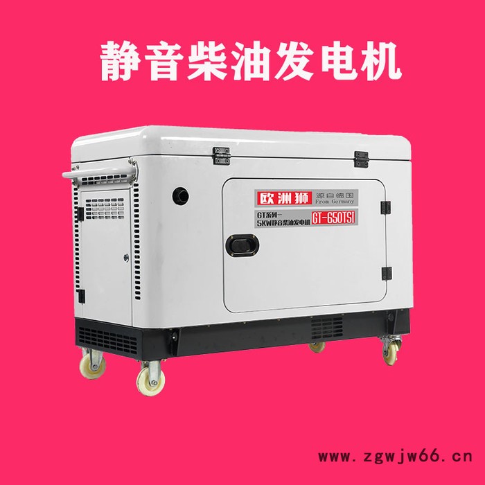 欧洲狮进口15kw柴油发电机组厂家图4