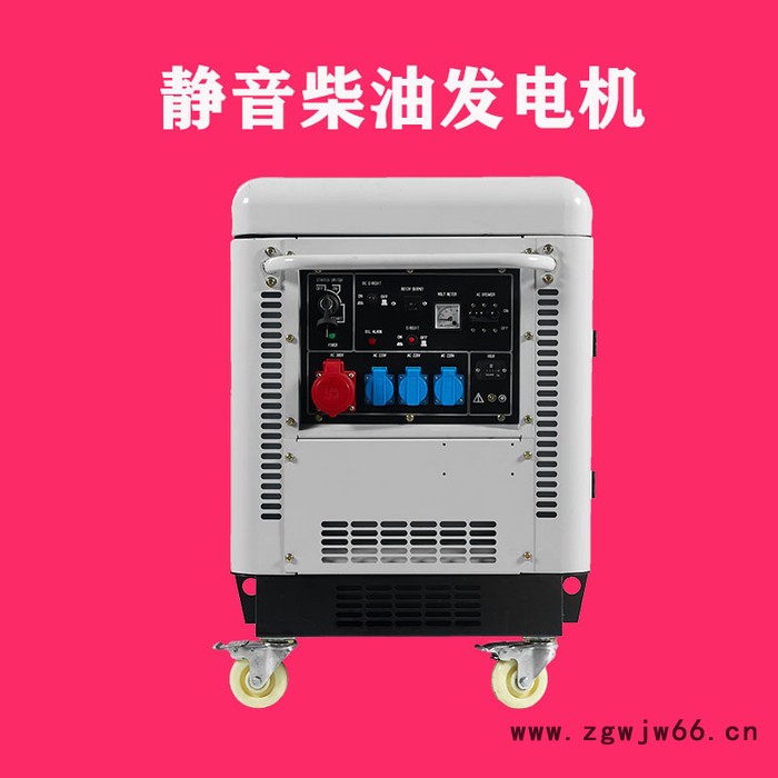 欧洲狮进口15kw柴油发电机组厂家图5