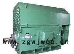 泰富西玛电机 Y560-2 1600kW 10kV高压异步电机图3
