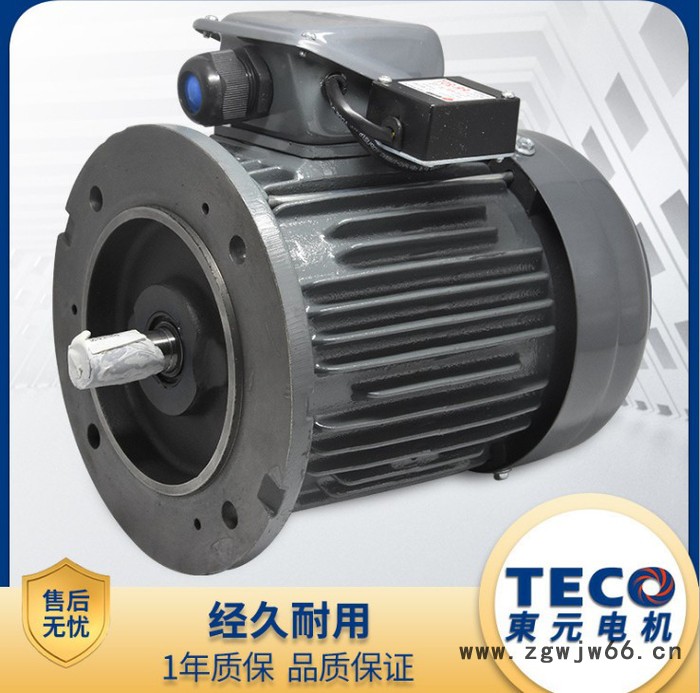 东元电机 TECO东元刹车电机 刹车马达三相异步电机图4