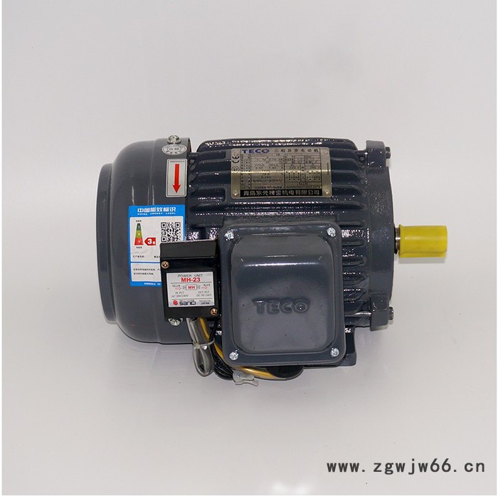 东元电机 TECO东元刹车电机 刹车马达三相异步电机图2