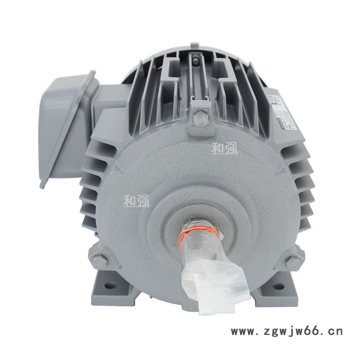 原装进口 日立高效电机TFO-HK 1.5KW 4P 200V/220V/380V 高能效节能图3