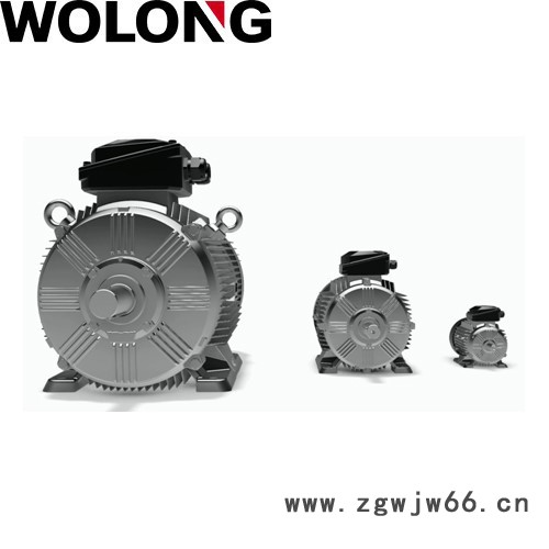 WOLONG/卧龙 WE3系列超高效 工业电动机 异步电机图3