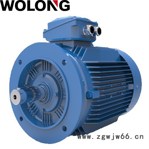 WOLONG/卧龙 WE3系列超高效 工业电动机 异步电机图6