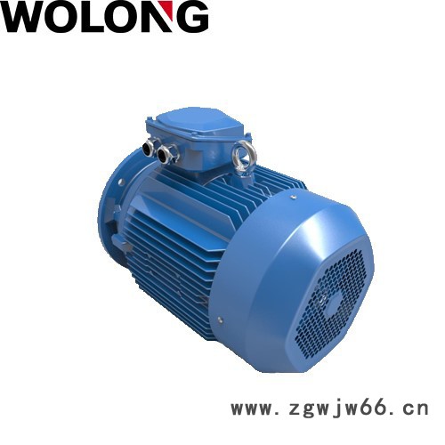 WOLONG/卧龙 WE3系列超高效 工业电动机 异步电机图2