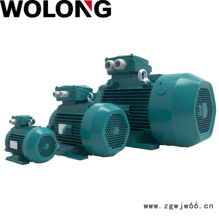 WOLONG/卧龙 WE3系列超高效 工业电动机 异步电机图5