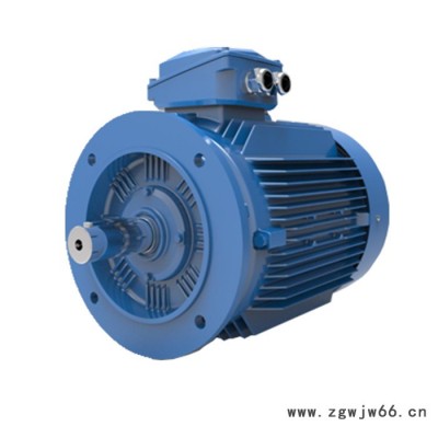 WOLONG/卧龙 WE3系列超高效 工业电动机 异步电机