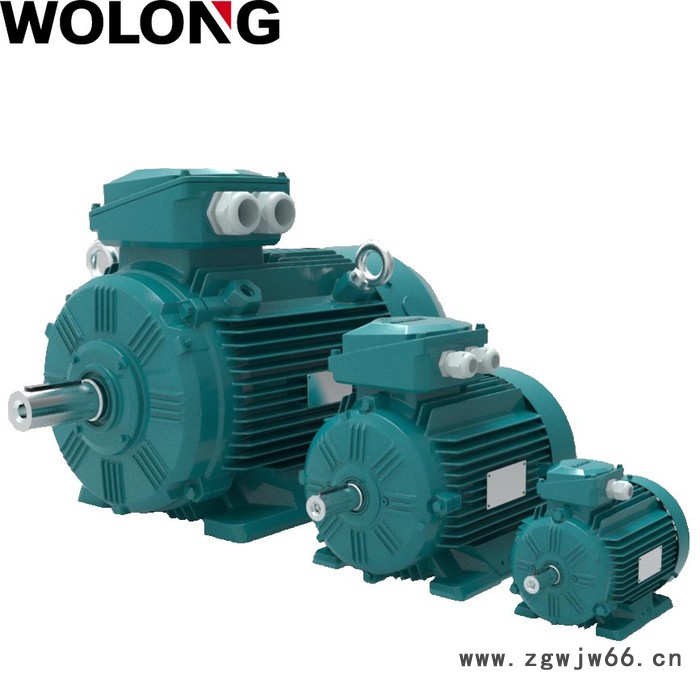WOLONG/卧龙 WE3系列超高效 工业电动机 异步电机图4