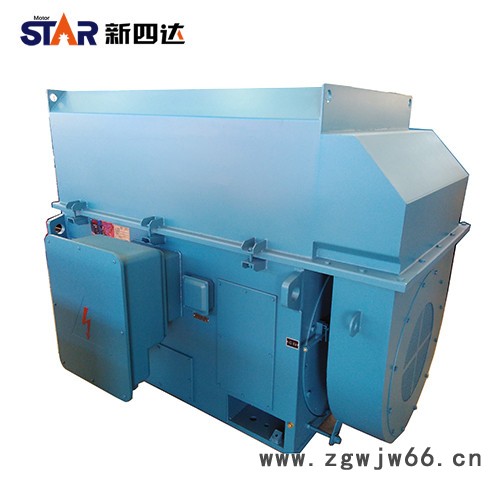 新四达YKK5003-4-1000KW 6000V高压三相异步电机  风机、水泵图2