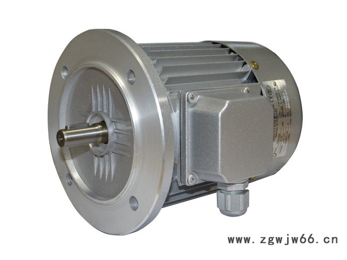 诠盛三相异步电机YS7144B5-0.75KW图2