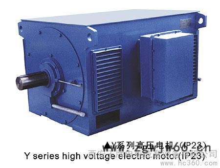 供应Y 系列高压三相异步电机