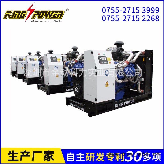 **200KW环保天然气发电机  800KW进口天然气发电机图2