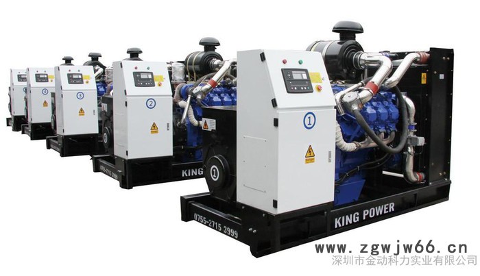 **200KW环保天然气发电机  800KW进口天然气发电机图3