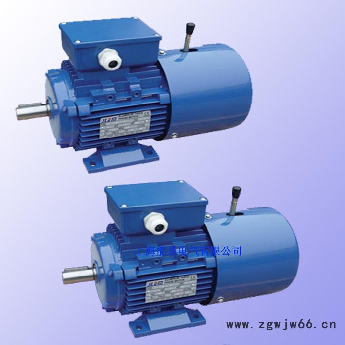 [直销]YVFEJ100L-8 0.75KW变频制动三相异步电机图2