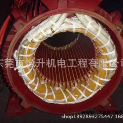 佛山电机维修 佛山直流电机维修 大型电机修理厂家 马达维修厂商