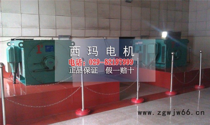 Y2系列高压三相异步电机Y2-3554-2 6KV 250kw紧促型电机图5