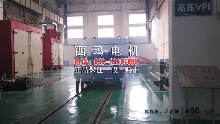 Y2系列高压三相异步电机Y2-3554-2 6KV 250kw紧促型电机图3