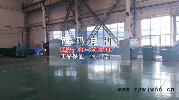 Y2系列高压三相异步电机Y2-3554-2 6KV 250kw紧促型电机图4