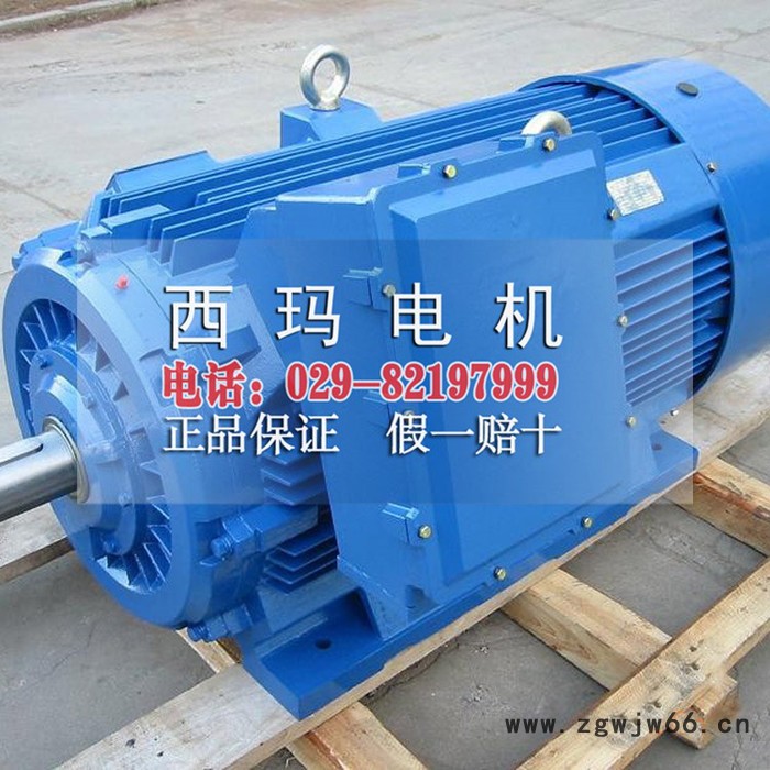 Y2系列高压三相异步电机Y2-3554-2 6KV 250kw紧促型电机图2