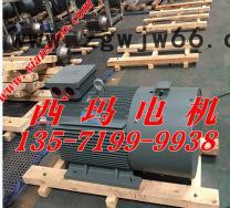 YVF2-355L-4 315KW YVFE2-355L-4变频调速三相异步电机图2