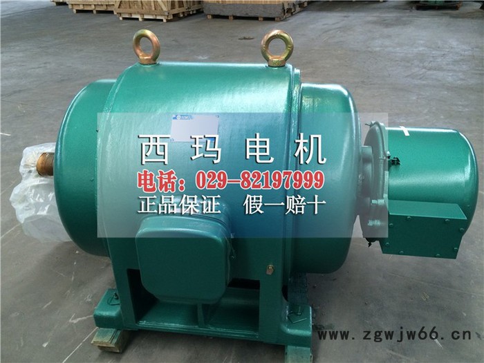JS137-6A  320KW/380V三相异步电动机 西安西玛电机 交流三相异步电机图3