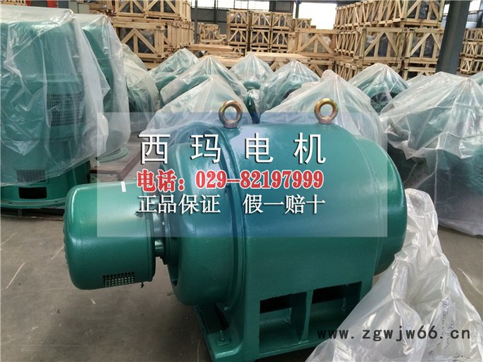 JS137-6A  320KW/380V三相异步电动机 西安西玛电机 交流三相异步电机图4