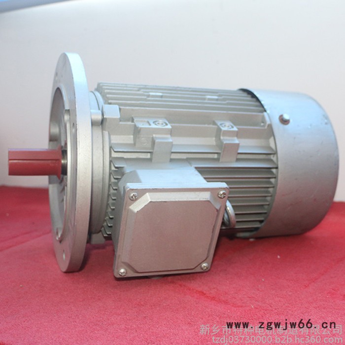 特种电机 铝壳电机 铝壳变频电机 实心转子三项异步电机 欢迎采购图3