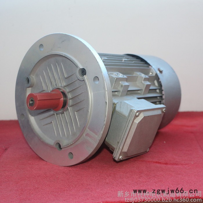 特种电机 铝壳电机 铝壳变频电机 实心转子三项异步电机 欢迎采购图2