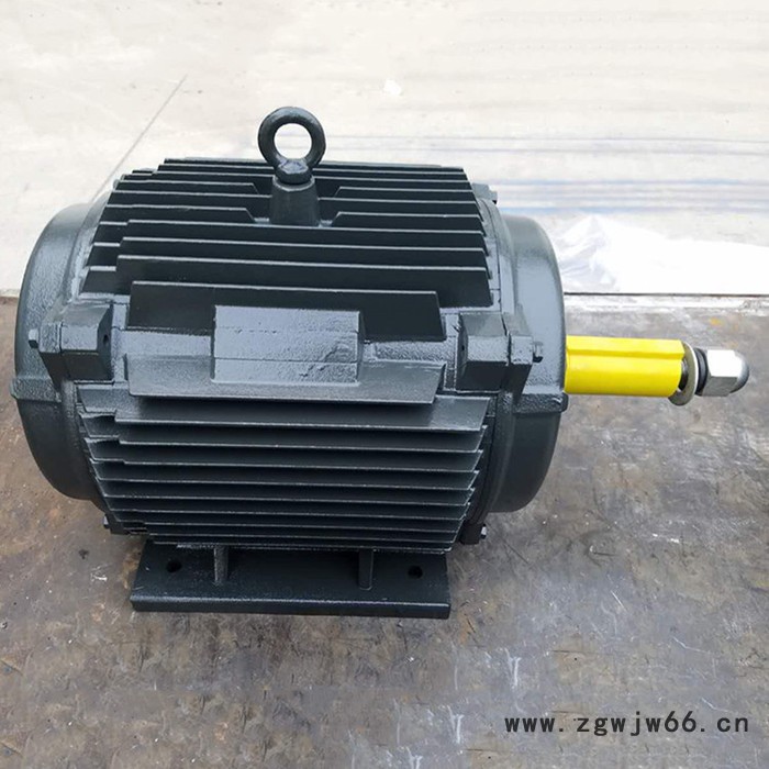 金力特YD160L-6/4变极多速三相异步电机厂家图7